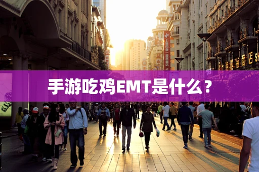 手游吃鸡EMT是什么？