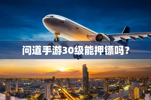 问道手游30级能押镖吗？