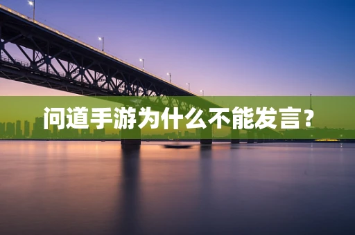 问道手游为什么不能发言？