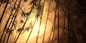 火影手游有羁绊吗？