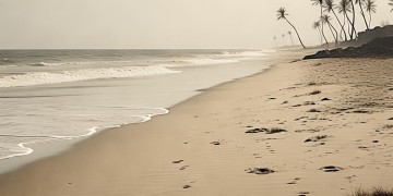 饥荒手游只有海滩吗?