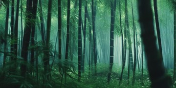 盲僧手游能上单吗？