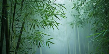 新笑傲江湖手游需要氪金吗？