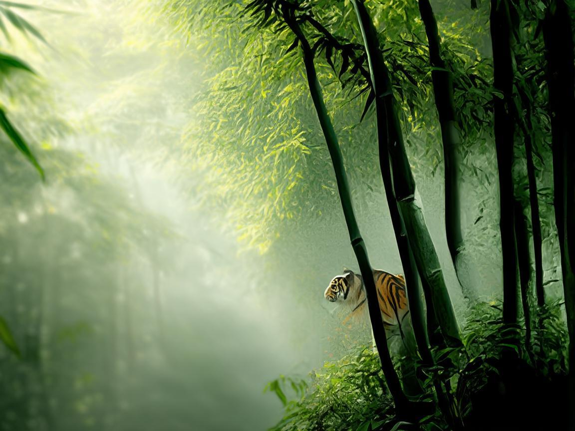 有哪些和卧虎藏龙差不多的手游呢? 有哪些和卧虎藏龙差不多的手游呢?